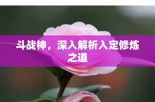 深入解析入定修炼之道图片