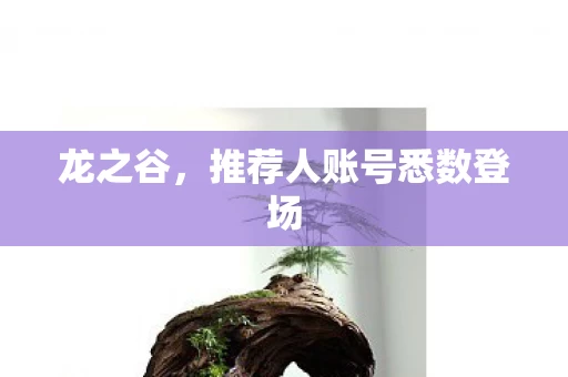 推荐人账号悉数登场图片
