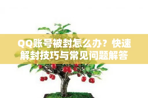 快速解封技巧与常见问题解答图片