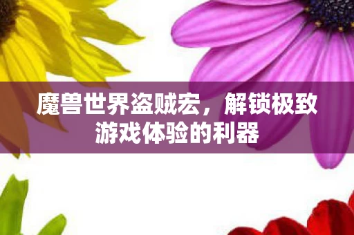 解锁极致游戏体验的利器图片