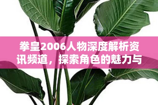 拳皇2006人物深度解析资讯频道图片