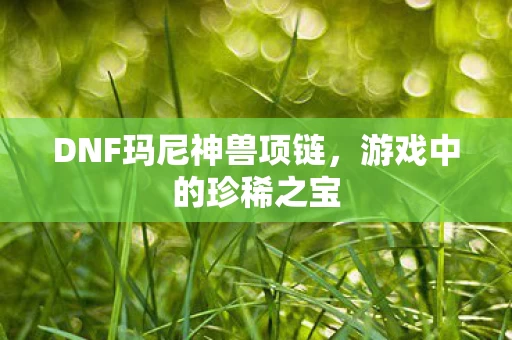 DNF玛尼神兽项链图片