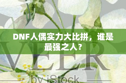 DNF人偶实力大比拼图片