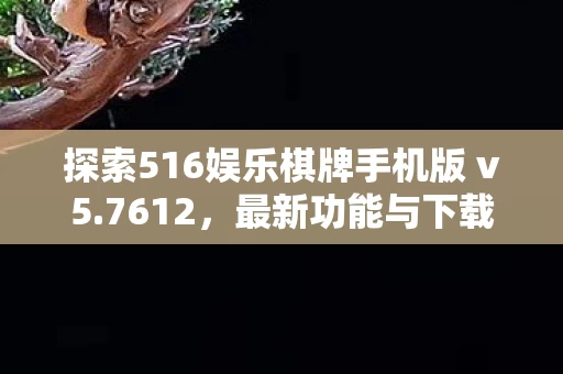 探索516娱乐棋牌手机版 v5图片