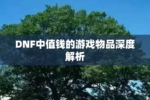 DNF中值钱的游戏物品深度解析图片