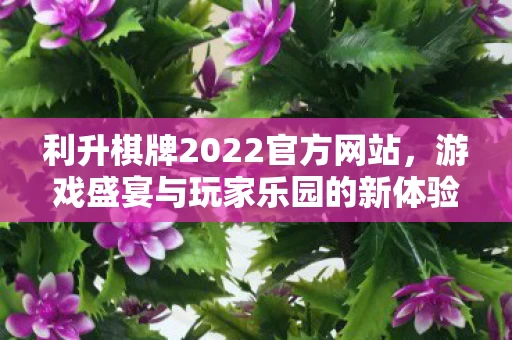 游戏盛宴与玩家乐园的新体验图片