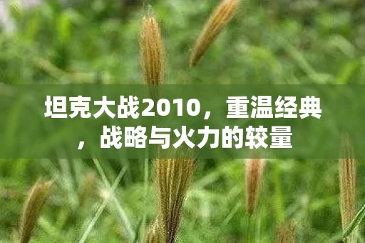 坦克大战2010图片