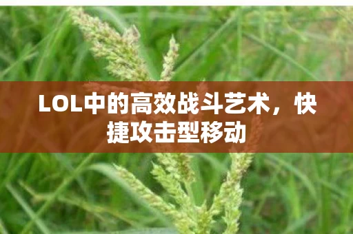 LOL中的高效战斗艺术图片