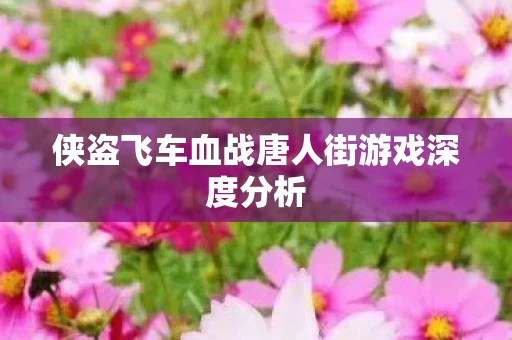 侠盗飞车血战唐人街游戏深度分析图片