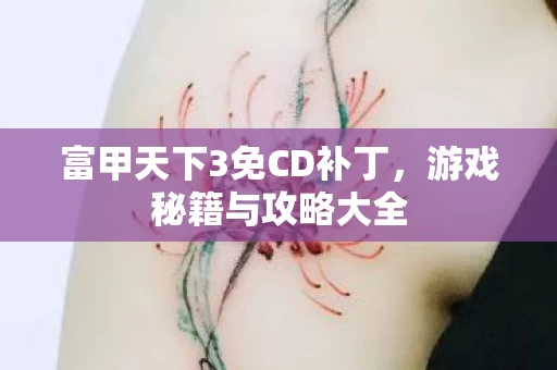 富甲天下3免CD补丁图片
