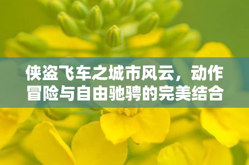动作冒险与自由驰骋的完美结合图片
