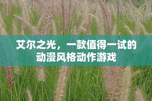 一款值得一试的动漫风格动作游戏图片
