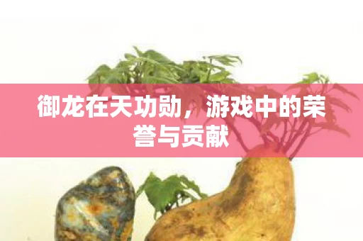 游戏中的荣誉与贡献图片