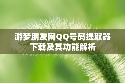 游梦朋友网QQ号码提取器下载及其功能解析图片
