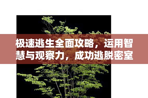极速逃生全面攻略图片