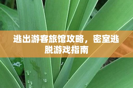 逃出游客旅馆攻略图片