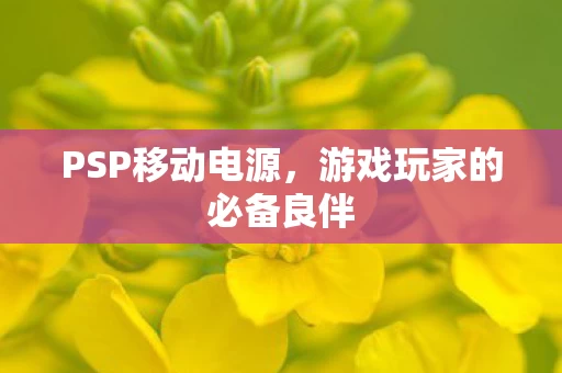 游戏玩家的必备良伴图片