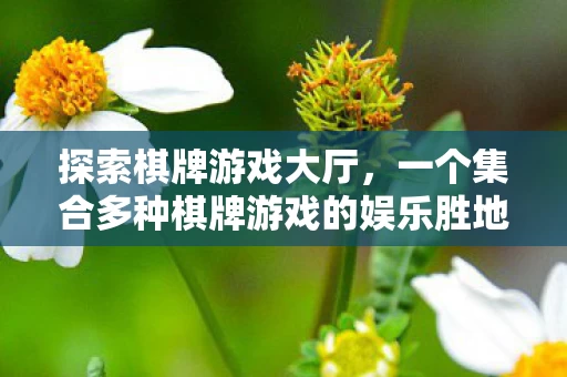 一个集合多种棋牌游戏的娱乐胜地图片