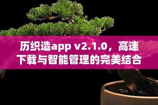高速下载与智能管理的完美结合图片