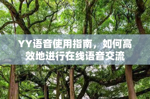 如何高效地进行在线语音交流图片