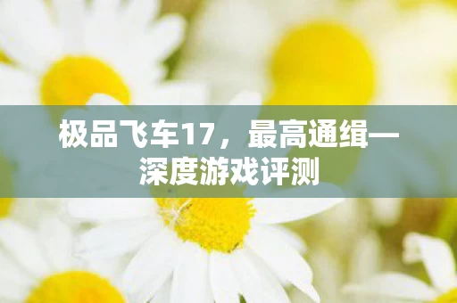极品飞车17图片