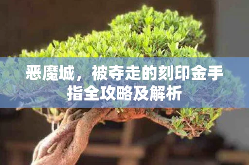 被夺走的刻印金手指全攻略及解析图片