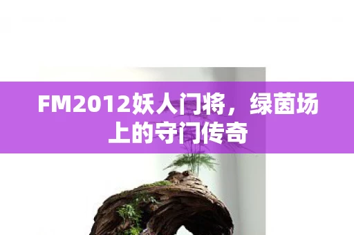 FM2012妖人门将图片