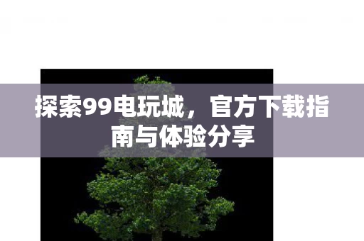 官方下载指南与体验分享图片