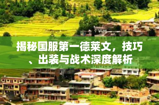 揭秘国服第一德莱文图片