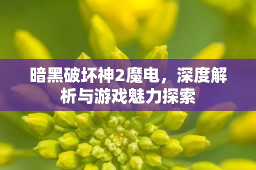 深度解析与游戏魅力探索图片