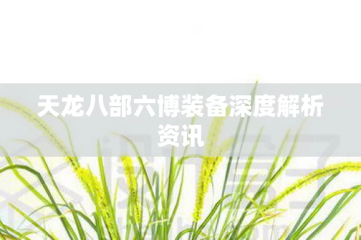 天龙八部六博装备深度解析资讯图片