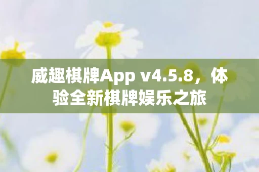威趣棋牌App v4图片