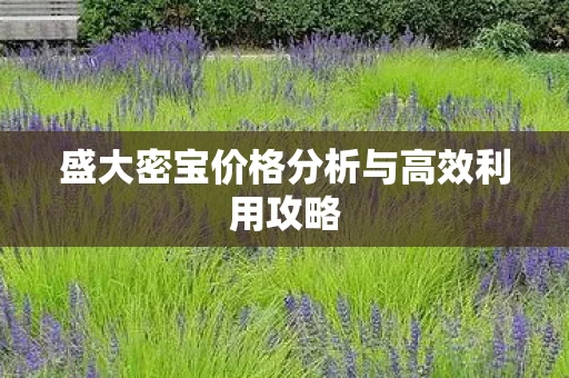 盛大密宝价格分析与高效利用攻略图片