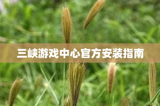 三峡游戏中心官方安装指南图片