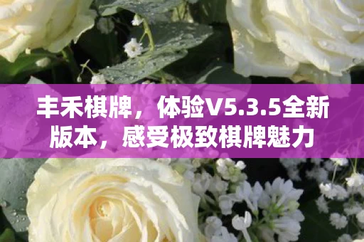 感受极致棋牌魅力图片