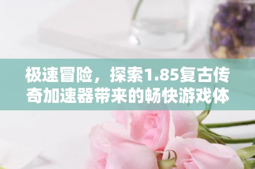 85复古传奇加速器带来的畅快游戏体验图片