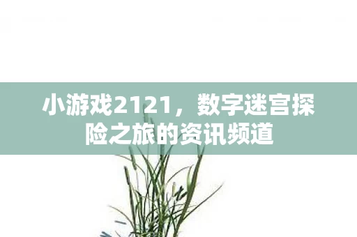 数字迷宫探险之旅的资讯频道图片