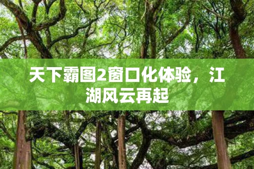 天下霸图2窗口化体验图片