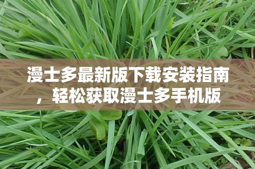 漫士多最新版下载安装指南图片