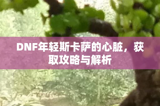 DNF年轻斯卡萨的心脏图片