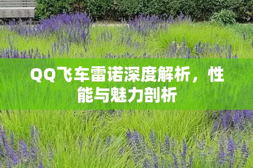 QQ飞车雷诺深度解析图片