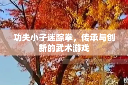 传承与创新的武术游戏图片