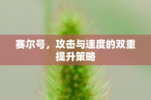 攻击与速度的双重提升策略图片