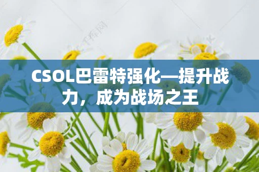 CSOL巴雷特强化图片