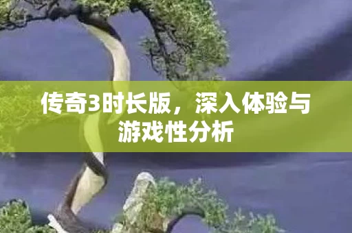 深入体验与游戏性分析图片