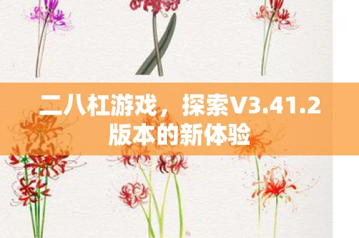 2版本的新体验图片