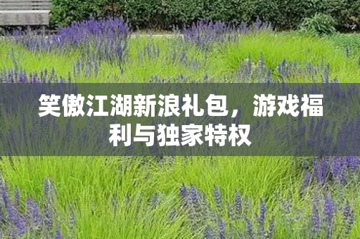 游戏福利与独家特权图片