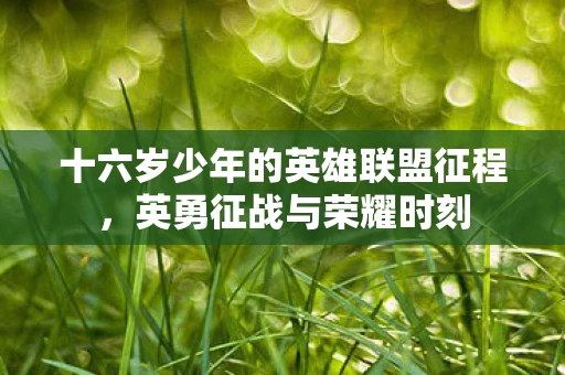 十六岁少年的英雄联盟征程图片