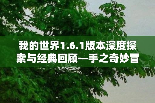 1版本深度探索与经典回顾图片