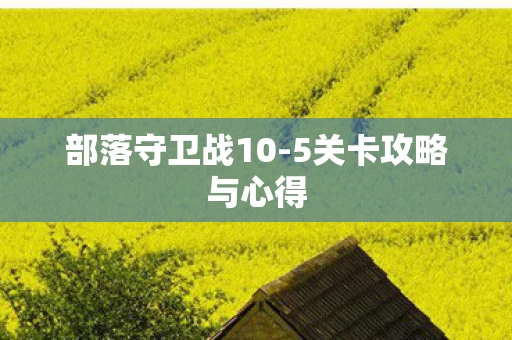 5关卡攻略与心得图片
